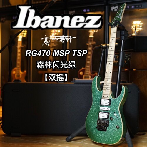 双摇24品电吉他Ibanez