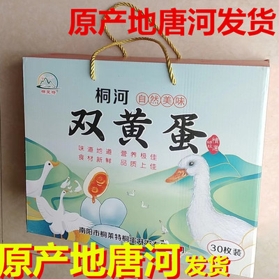唐河特产唐河桐河双黄桐蛋
