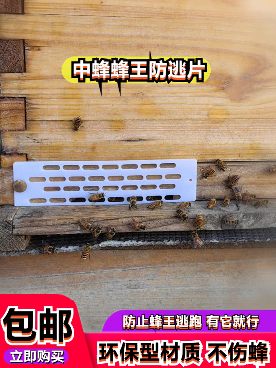 养蜂工具中蜂防跑片蜂王防逃栅巢门防盗器隔王片蜜蜂防逃王器