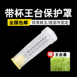 王台保护罩育王罩带杯多功能王笼囚王笼防咬保护罩养蜂工具包邮