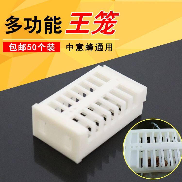 王笼塑料囚王笼蜂王笼多功能蜜蜂王笼中蜂意蜂囚王龙介王笼关王