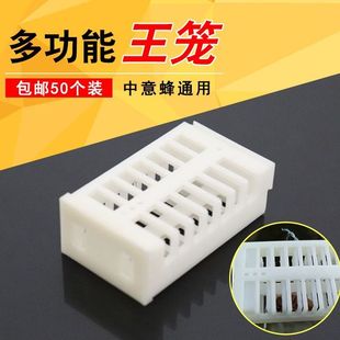 王笼塑料囚王笼蜂王笼多功能蜜蜂王笼中蜂意蜂囚王龙介王笼关王