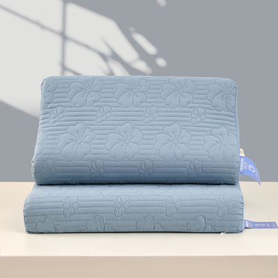 A类抗菌大豆纤维防水夹棉枕套