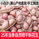 2025小白沙生花生带壳晒干带壳生花生粉红皮新鲜干货 黑山特产