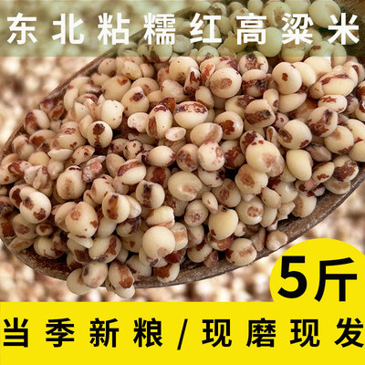东北粘高粱米黏糯高粱米粗粮新米