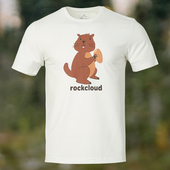 T恤休闲半袖 ROCKCLOUD岩云短袖 印花圆领短袖 夏季 防晒吸湿男士