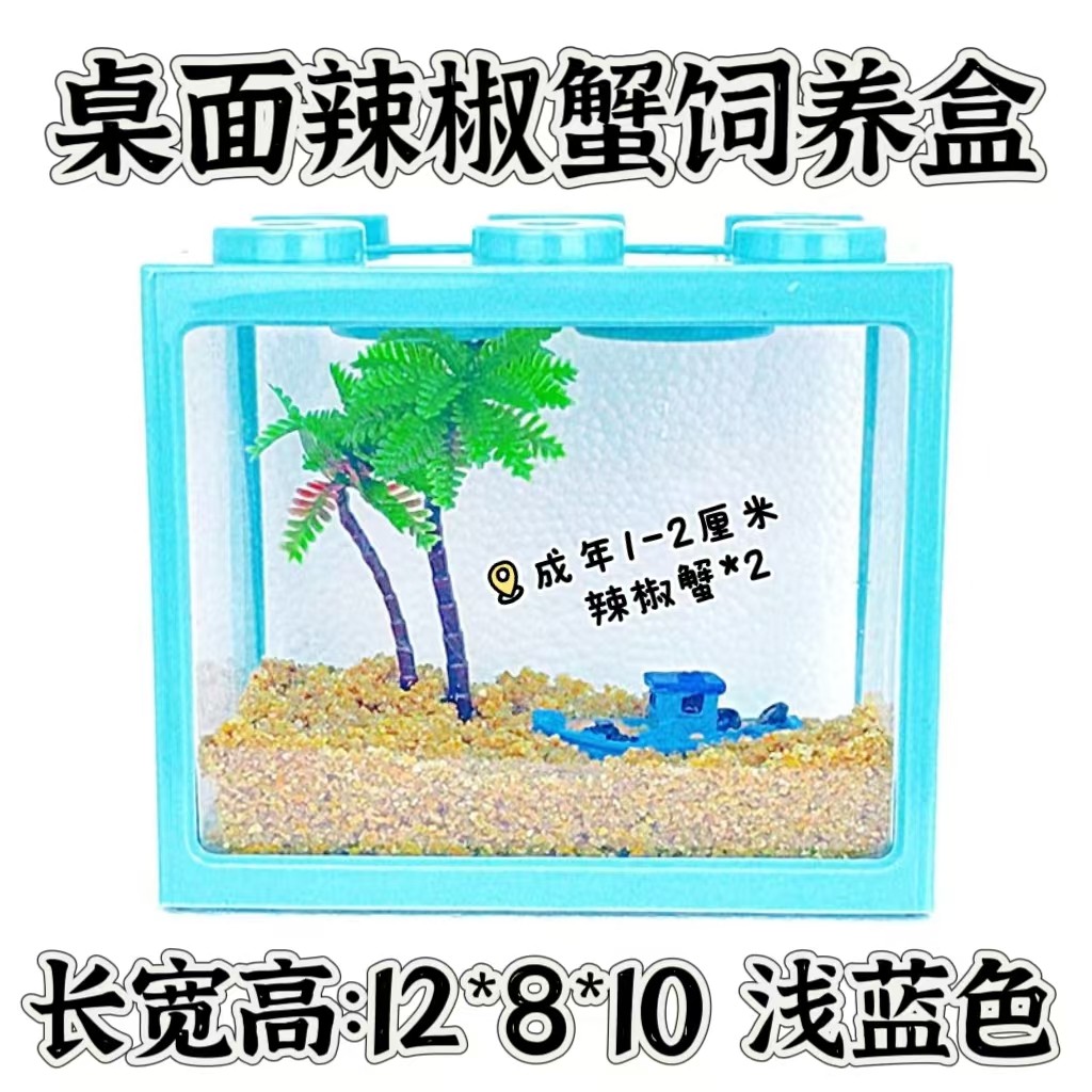 迷你辣椒蟹活体爬宠微景观淡水礼物观赏蟹可深水除藻清洁工易活