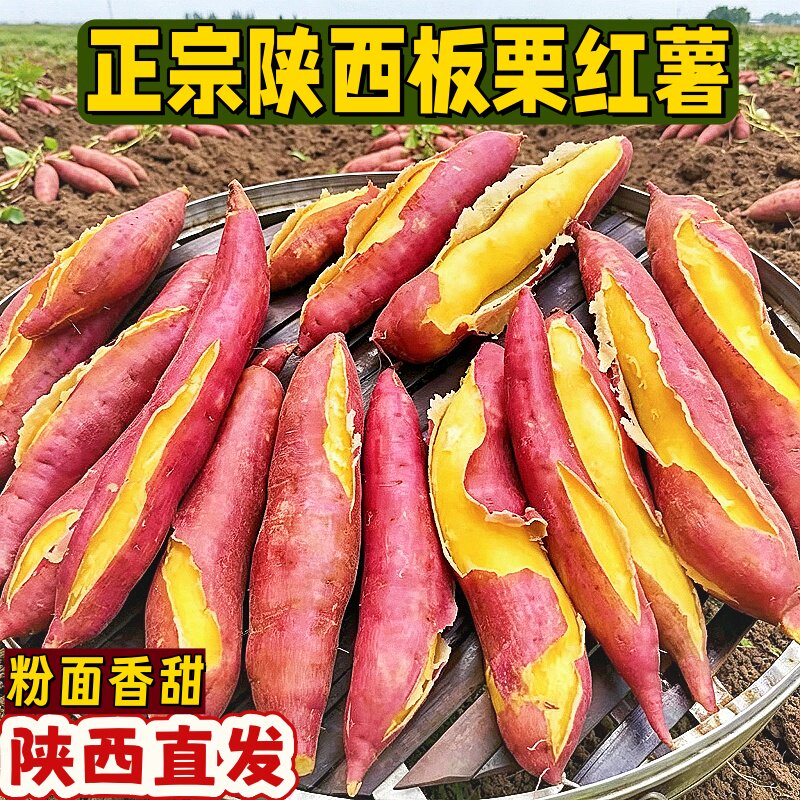 正宗陕西板栗红薯新鲜农家自种沙地现挖地瓜干面粉甜番薯黄心地瓜