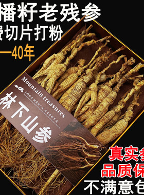 人参30年野山参残参林下参野生老池底子野播籽长白山老山参泡酒料