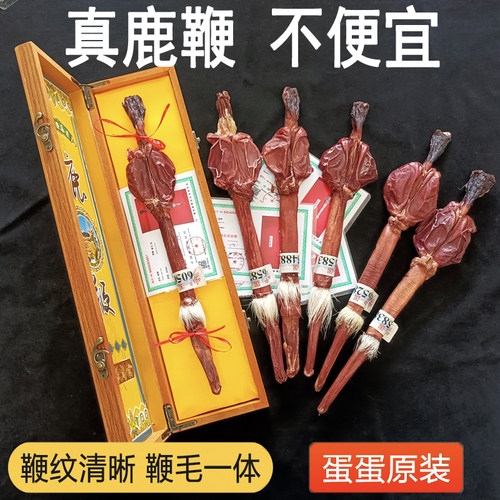 梅花鹿鹿鞭整支男性滋补
