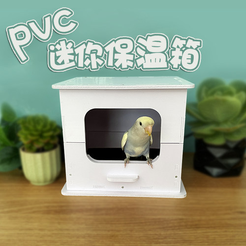 包邮迷你小型鹦鹉鸟类PVC