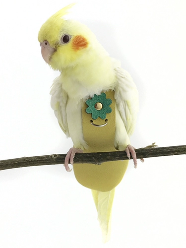 Бесплатная доставка домашняя одежда для птиц, моча, дерьмо, моча влажные брюки мочи Летающая одежда