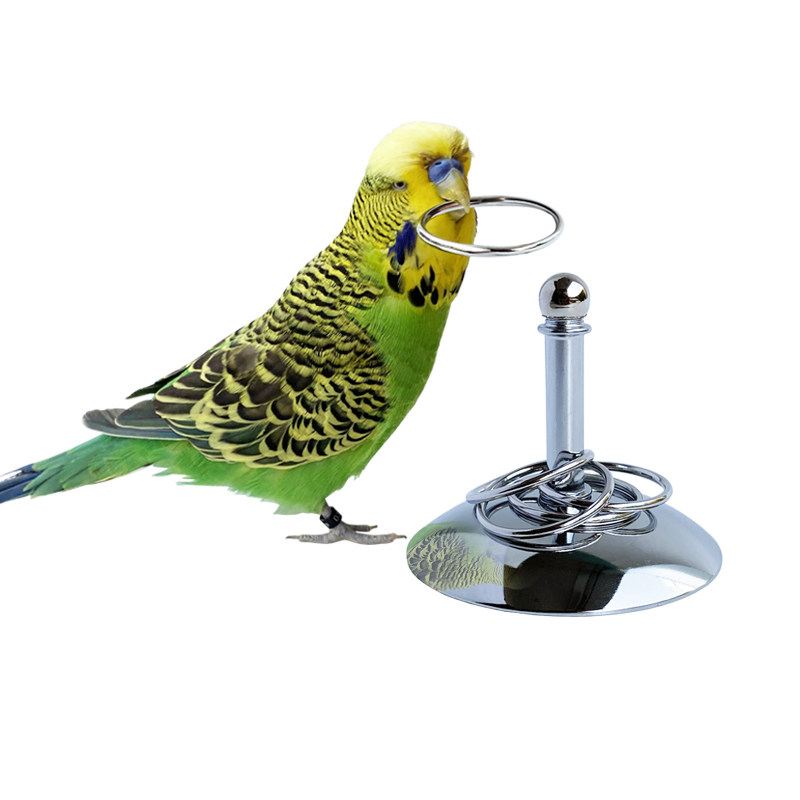 包邮鸟类鹦鹉益智不锈钢耐咬套圈玩具训鸟逗鸟互动智力开发玄凤
