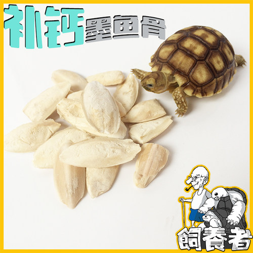 补钙陆龟鸟类下蛋软壳墨鱼骨