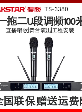 得胜TS-3380无线一拖二麦克风卡拉ok演出会议家用直播主持K歌话筒
