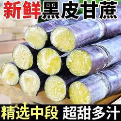【精品】正宗广东黑皮甘蔗新鲜孕妇中段紫皮批发薄皮超级甜老品种