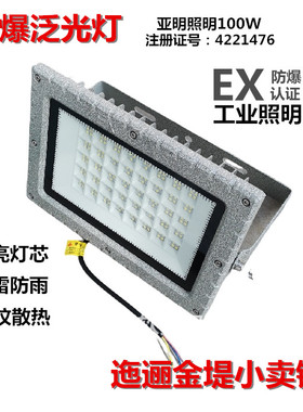 亚明照明防爆泛光灯投光灯100W防雷防雨免维护工业照明防爆灯Ex