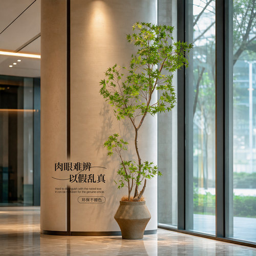 【小红书同款】高端室内绿植摆件