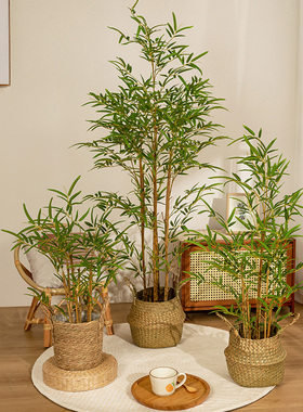高级仿真绿植竹子盆栽室内客厅新中式禅意造景假竹子植物装饰摆件