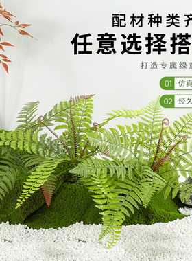 造景指定仿真绿植小配件