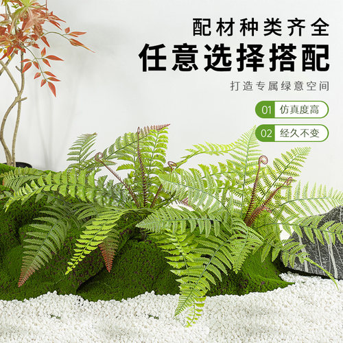 造景指定仿真绿植小配件