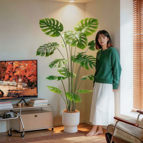 【家居好物】大叶龟背竹质感拉满