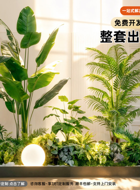 【央ma推荐】室内造景仿真绿植