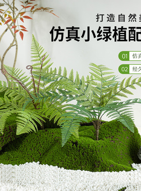 仿真草束蕨类植物高端新款配材室内客厅绿植盆栽插花家居装饰摆件