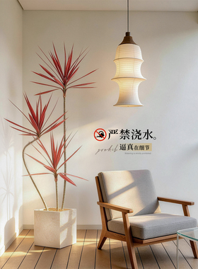 【小红书同款】仿真绿植盆栽装饰