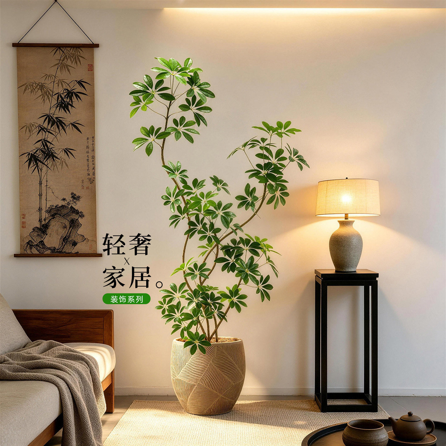 【小红书同款】高级绿植盆栽装饰
