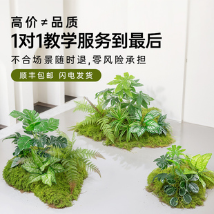 高档仿真蕨类植物组合造景绿植假波斯草摆设网红拍摄道具家居装饰