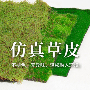 仿真苔藓草皮人造假青苔草坪装 饰遮挡室内地面铺面微观造景植物