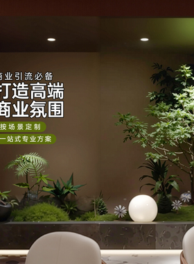 仿真绿植造景组合装饰摆件