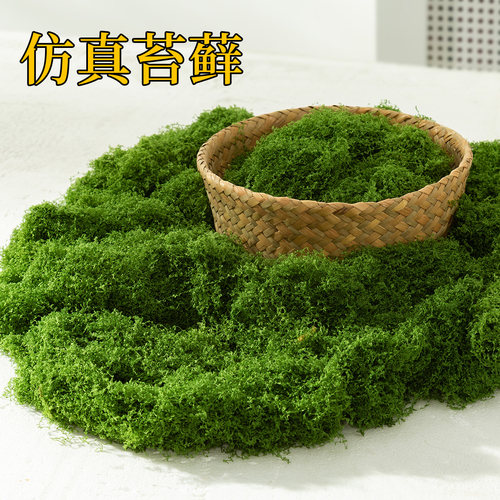仿真苔藓造景假青苔毛线草皮绿植微景观植物装饰人造仿生草坪石头