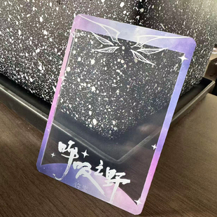 2025许嵩呼吸之野演唱会大麦猫眼小票保护套硬卡套票根保存收纳