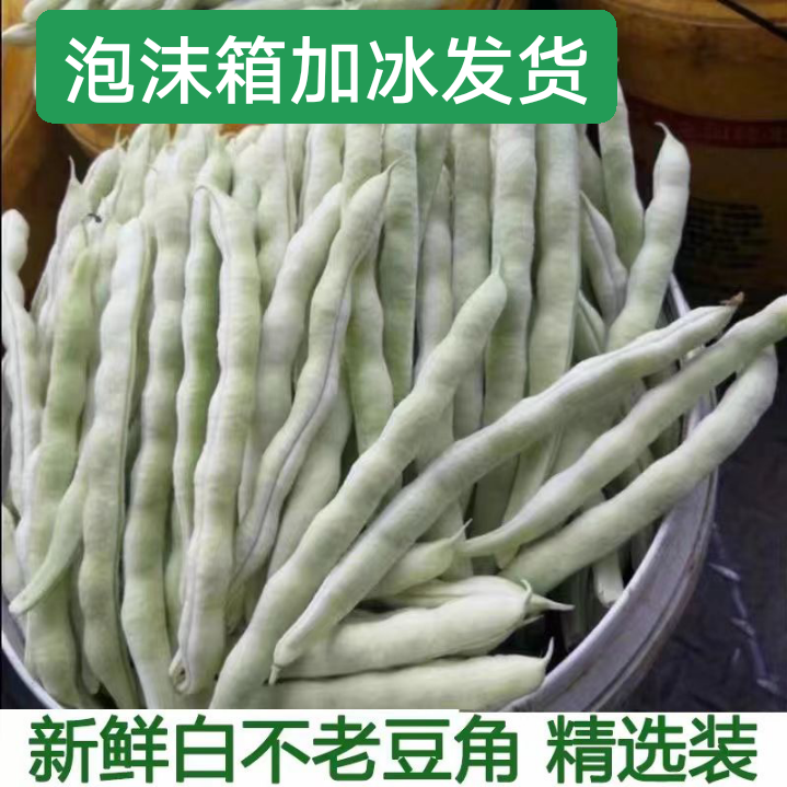 云南农家白不老豆角现摘芸豆新鲜四季豆角云豆米豆扁豆老来少豆角