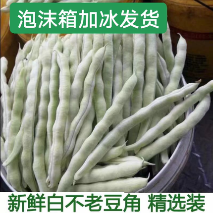 云南农家白不老豆角现摘芸豆新鲜四季豆角云豆米豆扁豆老来少豆角