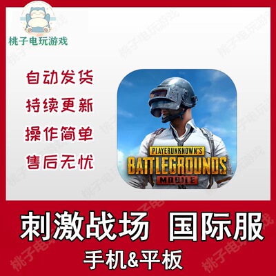 PUBG手游刺激战场 国际服 中文下载吃鸡教程平板游戏