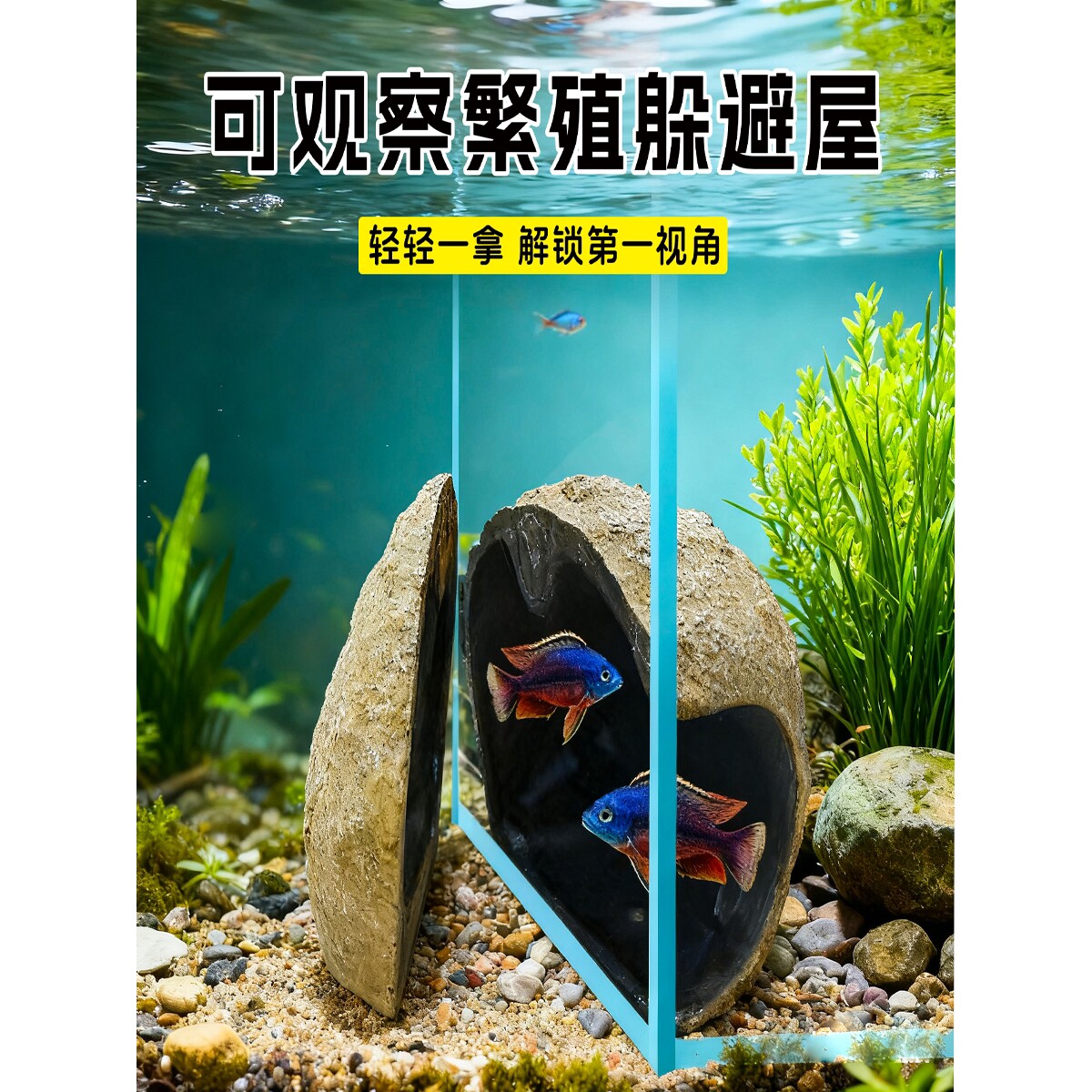 可观察繁殖躲避屋磁吸躲避屋迷你鹦鹉慈鲷繁殖罐产卵仿真石头造景