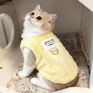 小猫咪衣服秋冬装可爱加绒保暖背心银渐层布偶小型犬比熊加厚棉衣