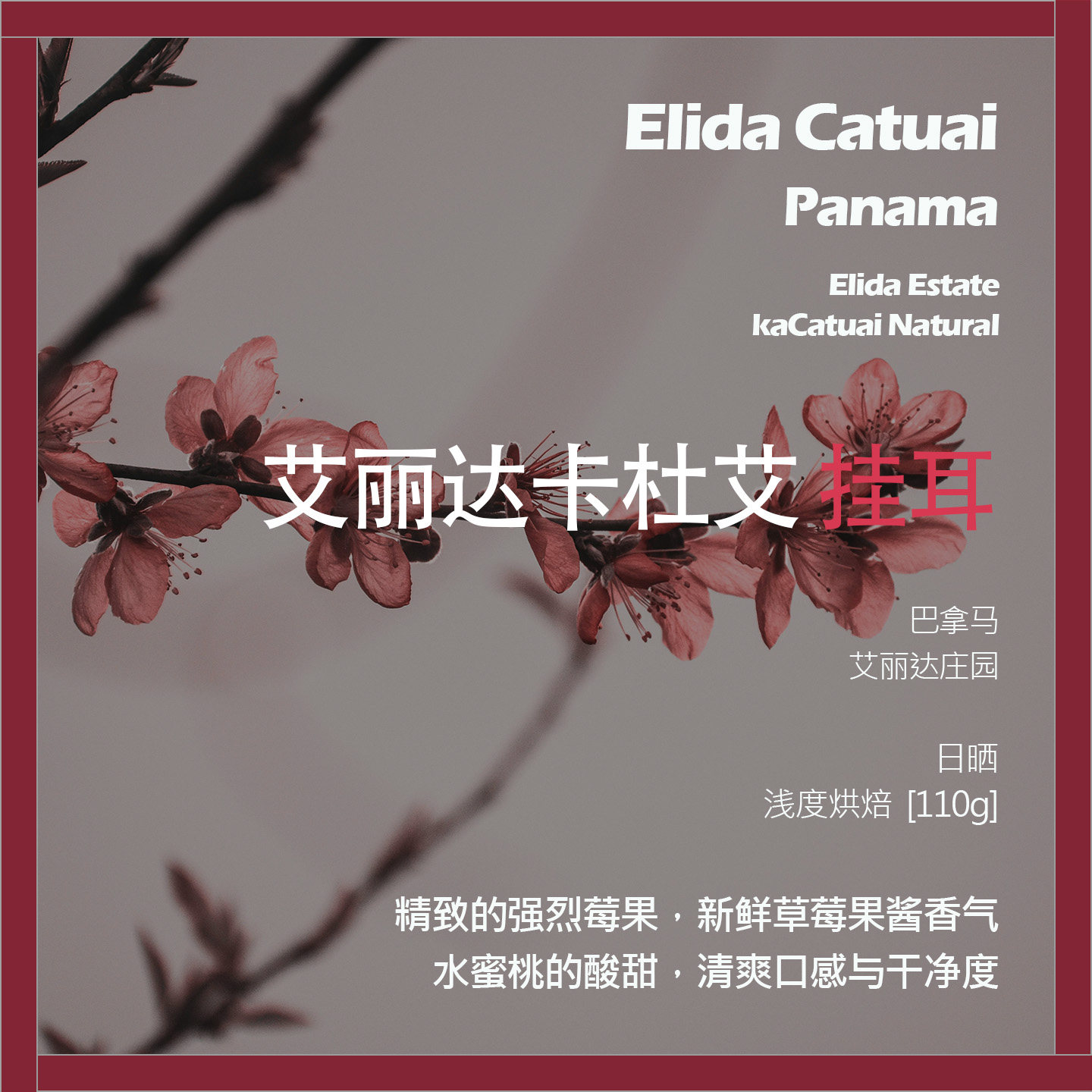 挂耳巴拿马艾丽达庄园卡杜艾日晒单品咖啡豆浅烘水蜜桃的酸甜清爽