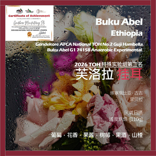 挂耳埃塞俄比亚2026TOH特殊组第二名芙洛拉厌氧日晒单品咖啡豆