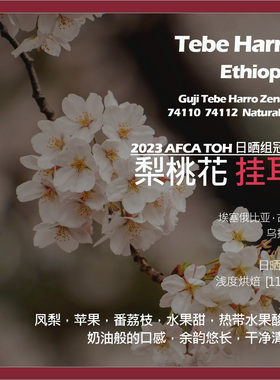 挂耳埃塞俄比亚74110 74112梨桃花2023 AFCA TOH日晒组冠军咖啡豆