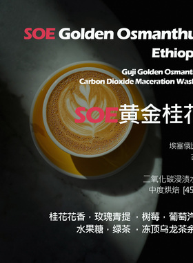 SOE埃塞俄比亚古吉黄金桂花二氧化碳浸渍水洗单品意式咖啡豆新鲜