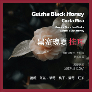 挂耳哥斯达黎加巨石庄园黑蜜瑰夏单品咖啡豆新鲜浅烘蔷薇茶花草莓