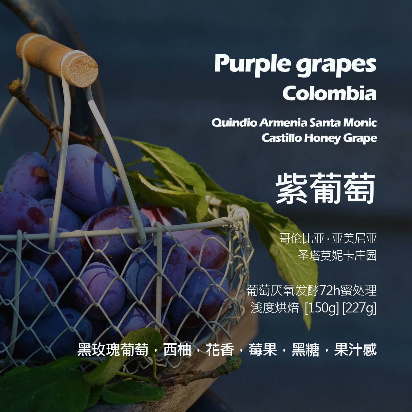 哥伦比亚圣塔莫妮卡庄园紫葡萄厌氧发酵72h蜜处理手冲单品咖啡豆