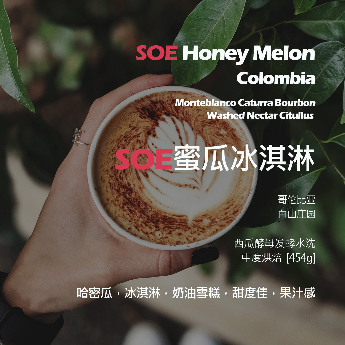 SOE哥伦比亚白山庄园蜜瓜冰淇淋西瓜酵母发酵水洗意式单品咖啡豆