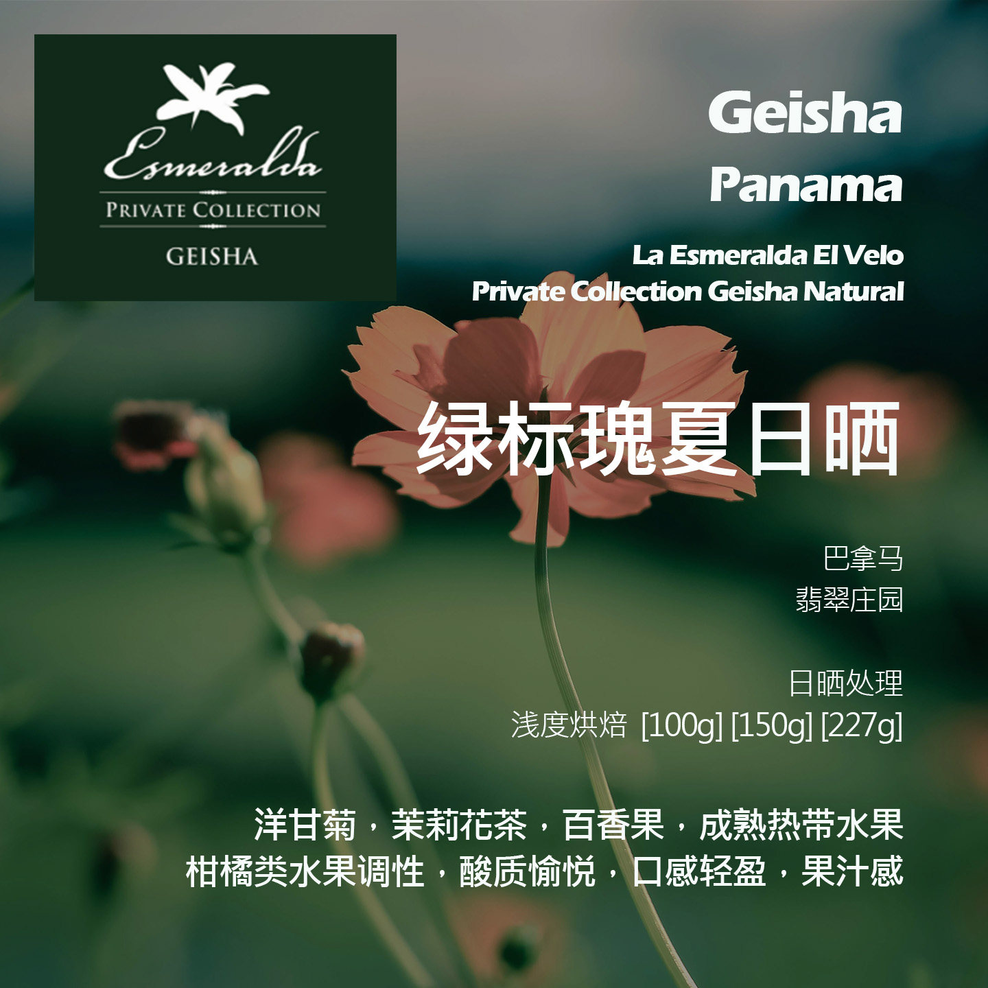 巴拿马翡翠庄园绿标瑰夏日晒手冲单品咖啡豆新鲜浅烘洋甘菊百香果