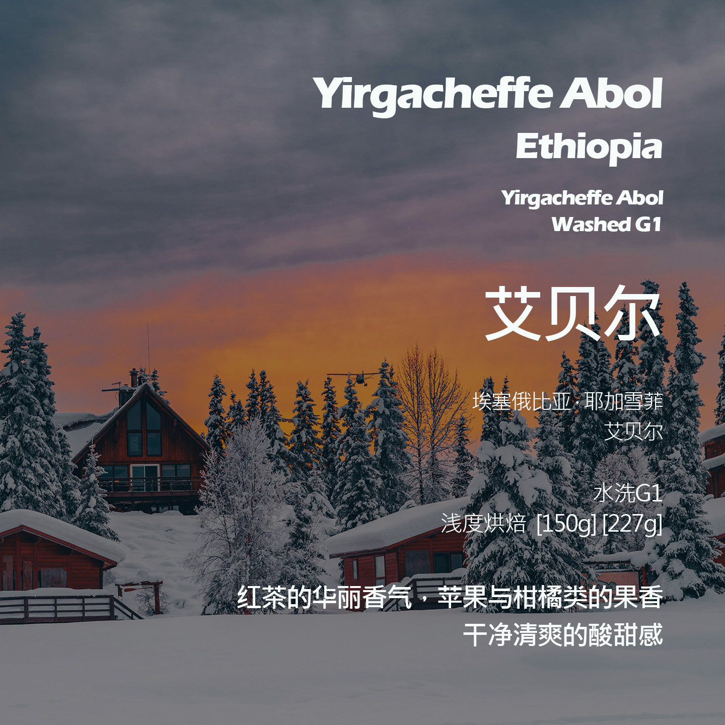 埃塞俄比亚耶加雪菲艾贝尔水洗G1手冲单品咖啡豆浅烘红茶华丽香气