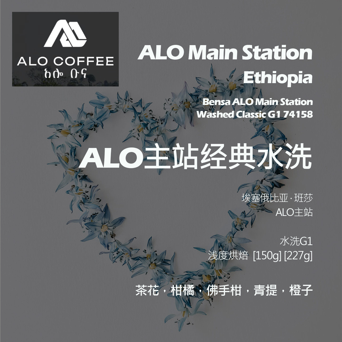 埃塞俄比亚班莎ALO主站经典水洗手冲单品咖啡豆新鲜浅烘茶花青提